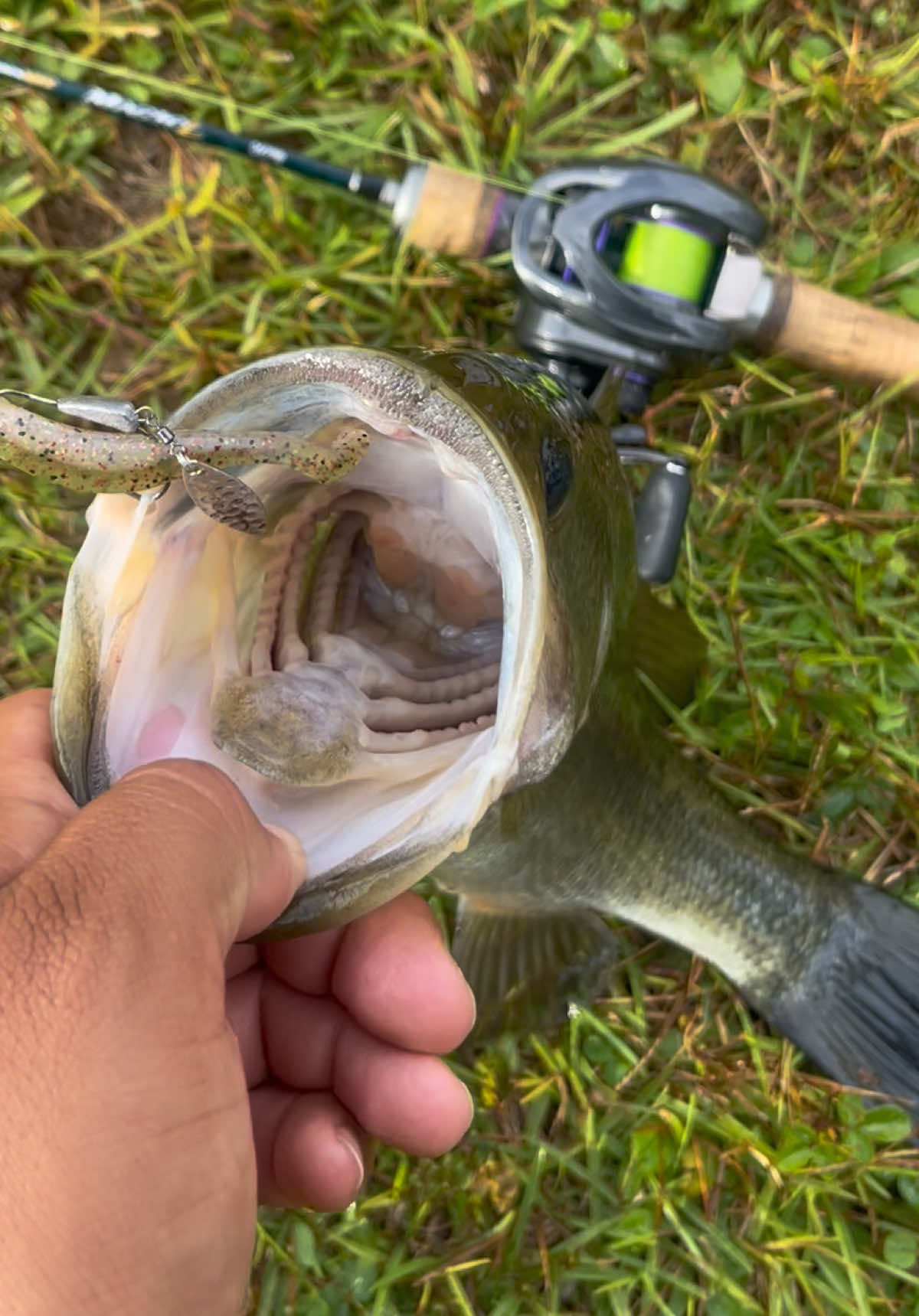 #fishing #ultralightfishing #bankfishing #fypシ 