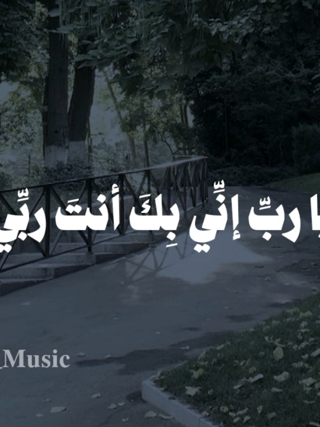 بدون موسيقى🤎 #يارب_اني_بك_انت_ربي #fypシ  #اناشيد #بدون_موسيقى #no_music 