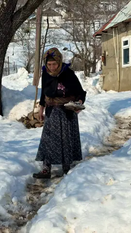 Not everything lost fades… some things wait to be remembered #simpleliving #cozy #nature #traveling #cozyhomevibes      