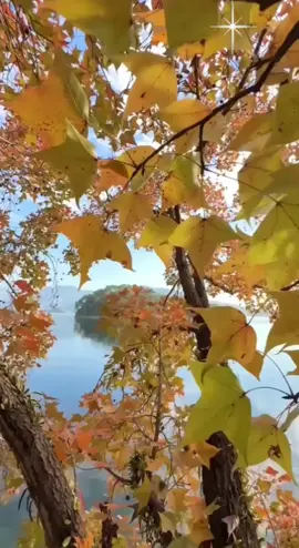 @Asiyki (アシキ) #Autumn #scenery #nature #travel #relax 