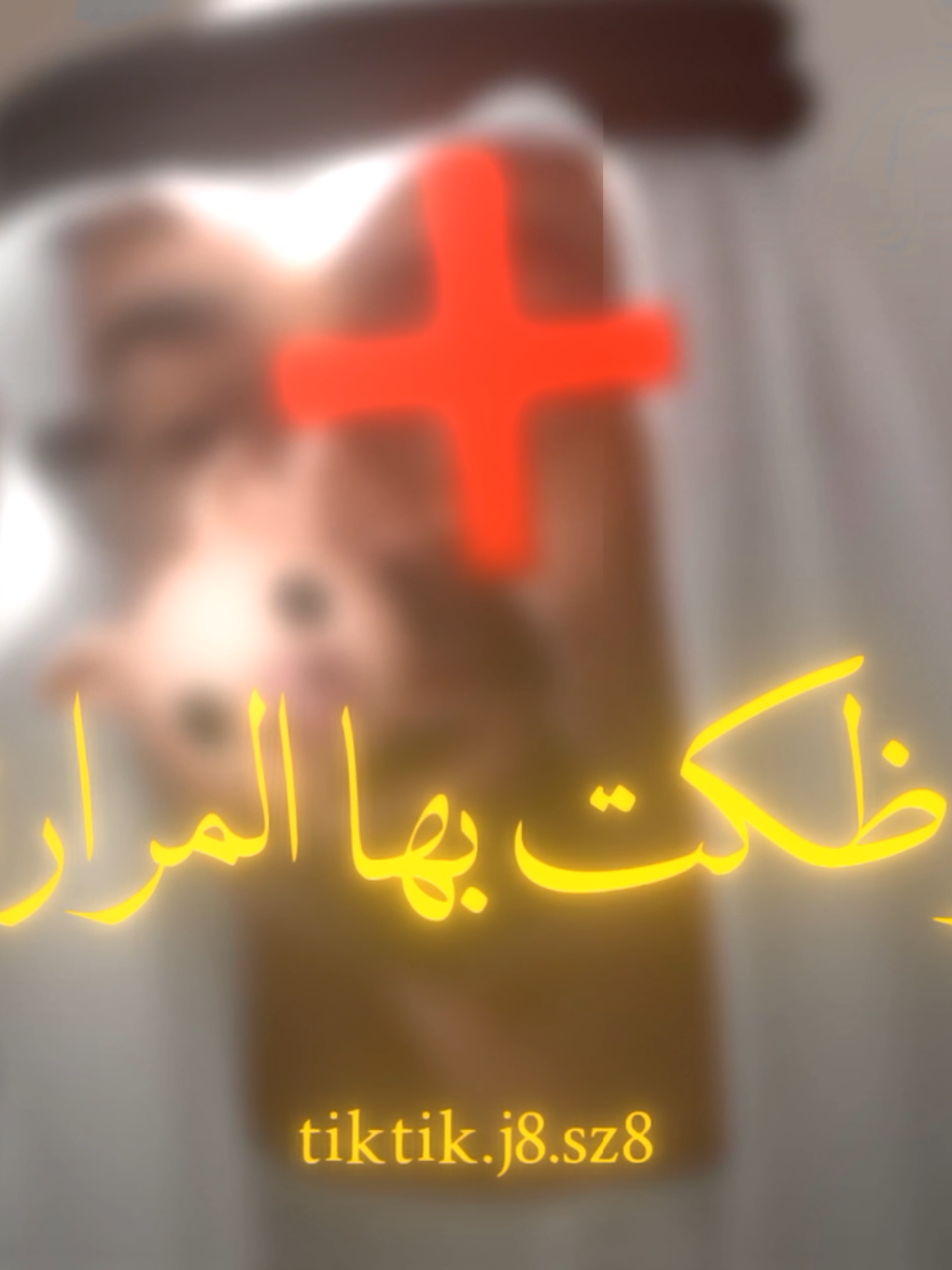 هذا الشيطان الذي قتل  السنة في العراق وسوريا وفلسطين واليمن وليبيا واليوم نراه يقتل الاخوة في السودان #اناشيد #مواعظ #متابعة #اكسبلور 