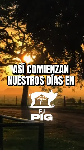 Lunes en la Granja: 100% trabajo real. 🐖 Esta es la rutina para arrancar con el pie derecho #granjafjpig #cerdos #pig #iniciodesemana #zaraza 