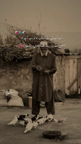 🥹❤️‍🩹 #whoo_amw #aesthetic #hehe_amw #who_amw 