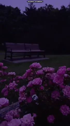 Ma sara ma kina zma ba sy za dasi yama.🙊❤                 #foryou #pashto #pashtopoetry #repost #i9ote1 #unfreezemyacount 