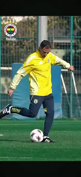 #dominicotedesco #fenerbahçe💙💛⚽️🤣 