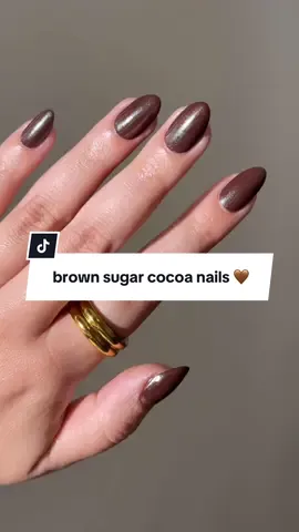 brown sugar cocoa nails 🤎 products used: i'm dirty dan, wedding veil aurora nail powder, & so over it. #fallnails #chromenails #nailinspo #diynails #nailhack 