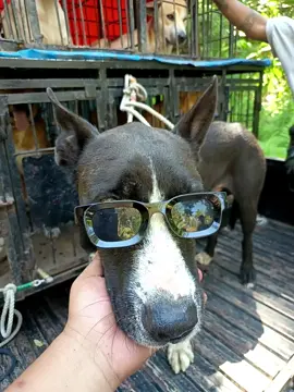 #fyp #xyzbca #masukberanda 