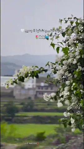 #ولنا_في_الطبيعه_خيال #تصاميم_فيديوهات🎵🎤🎬 #اصرف_نضر_وشبع_قهر😎 #محمد_العماد #إب_قلبي💚 