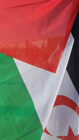 #لاللحكم الذاتي