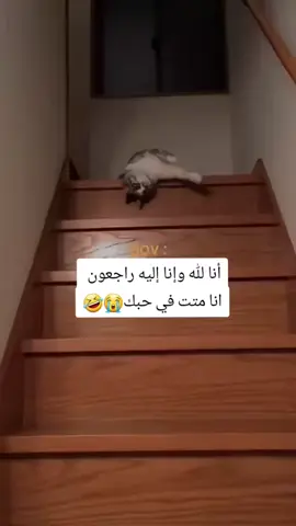 ثفت يروحي🥺👌🏻🤣@💘♔ جـ,ـوُڊ𝐉𝓞Ỗ𝐝 🐼 #fyppppppppppppppppppppppp #جودي__جود #fpyシ #tikt #شعب_الصيني_ماله_حل😂😂 