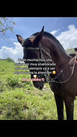 #caqueta_colombia🇨🇴🇨🇴 #viral 🫩🫩