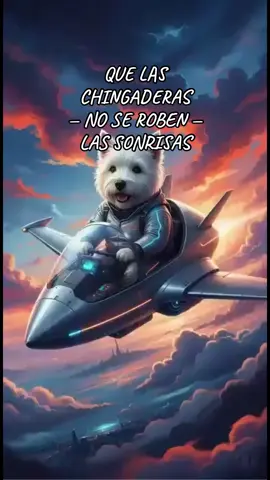 QUE LAS CHINGADERAS NO SE ROBEN  TUS SONRISAS🤗🎶❤️🎶🌎🌎🌎❤️