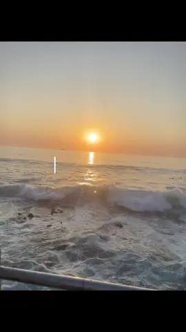 Kies ek net vir jou!! #fypシ゚ #capetown #foryoupage #southafrica🇿🇦 #viralvideos 