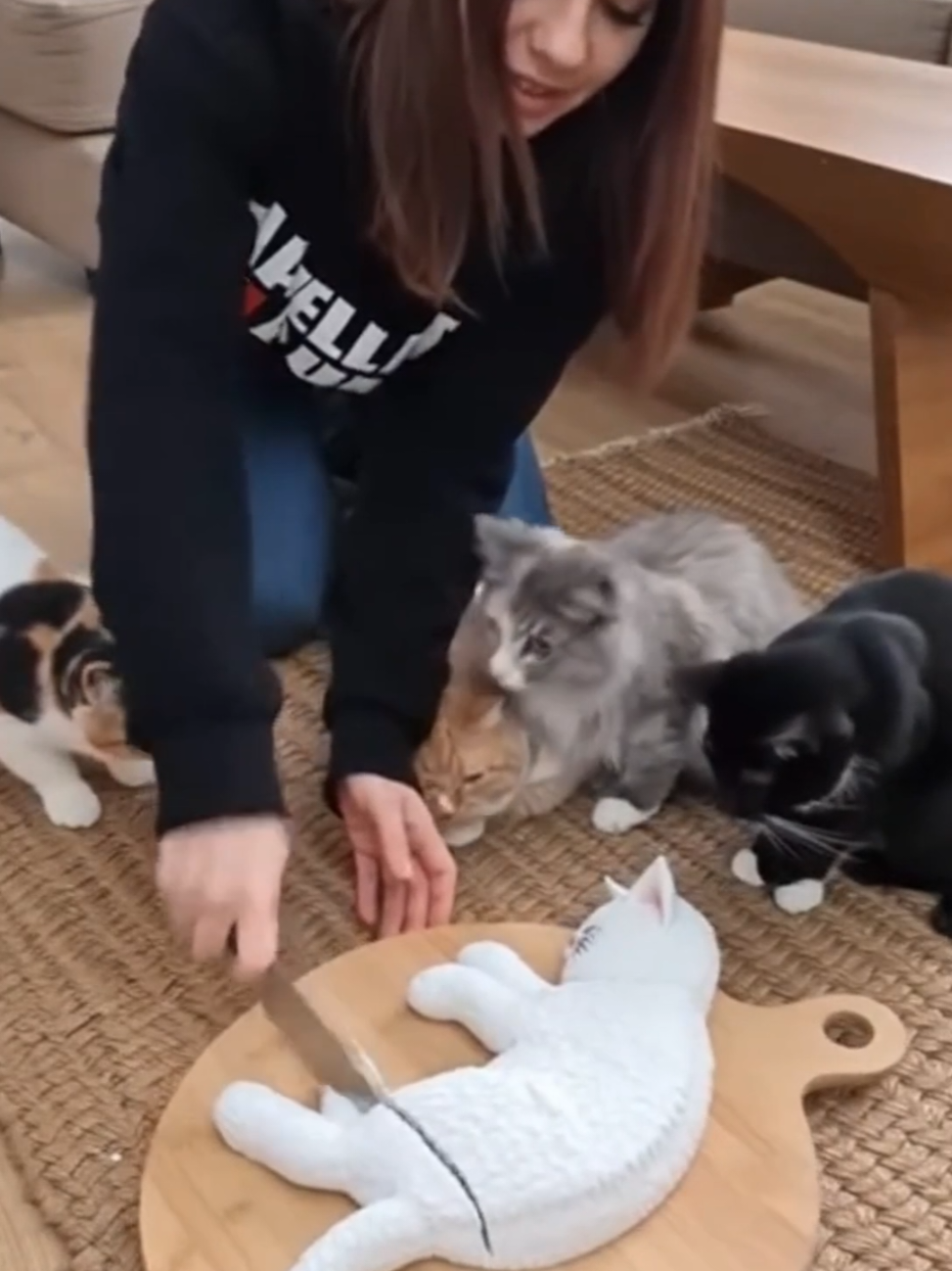 cat prank! #cat #prank #catshorts #happybirthday #pisică 