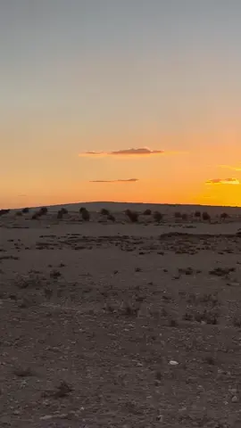 #موليه_رقاويه_فراتية_شغل_الرقة #الرقه_الحسكه_ديرالزور_الفرات #فضلان_وليس_امرا #عادت_نشر🔁 