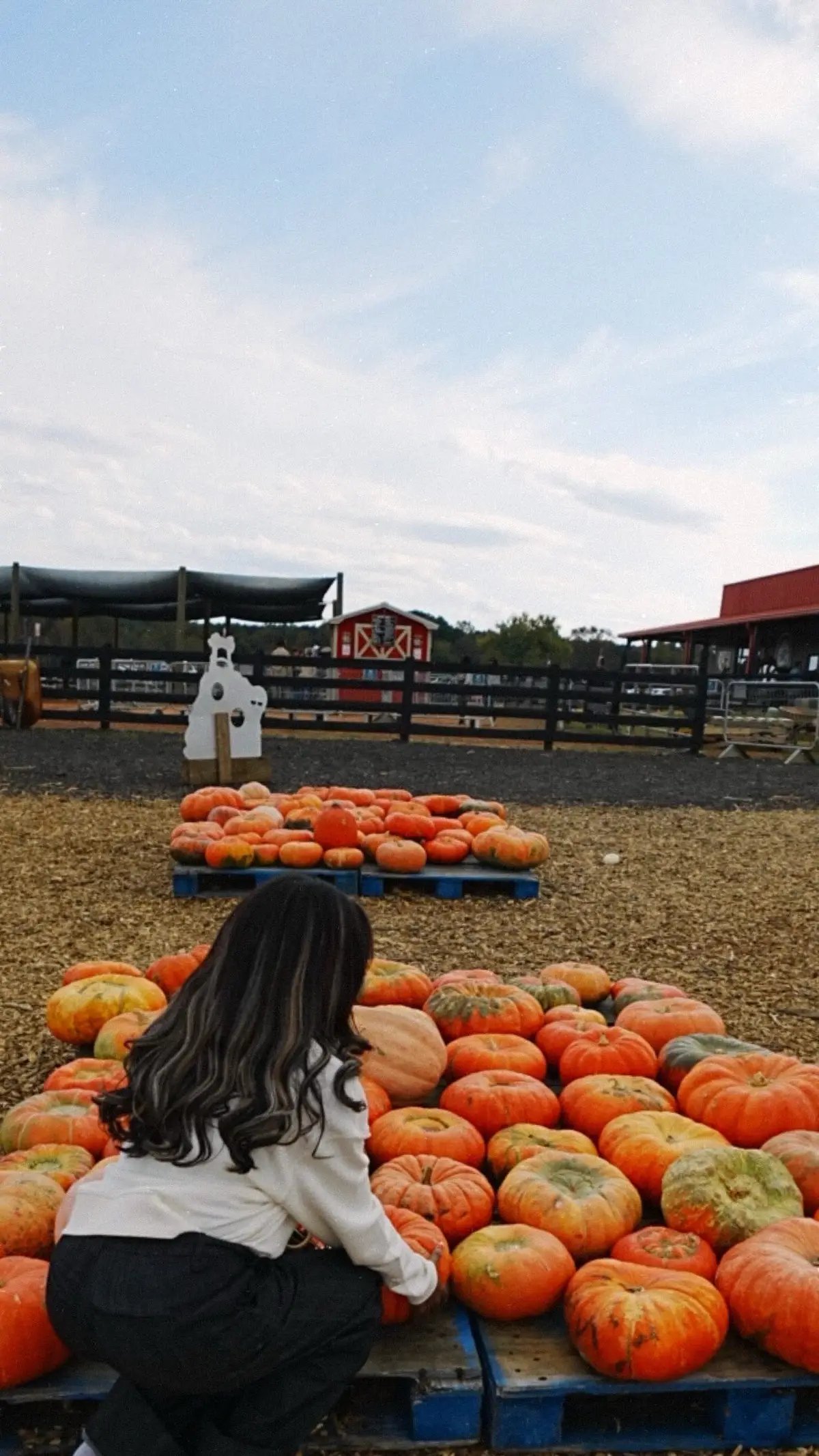 #falltok #autumn #pumpkinpatch #FitTok 