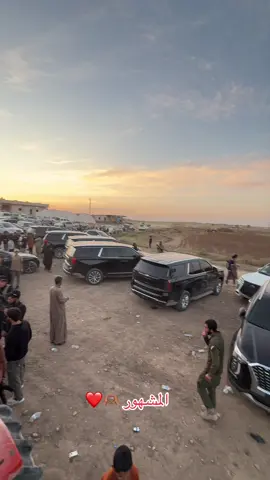 #البكارة_الهاشمية_🇯🇴🔥515👑 #الهواشم #تصميم_فيديوهات🎶🎤🎬تصميمي🔥 #البطاحا #العايد_الذباحة 