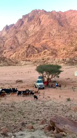 #اكسبلورexplore 