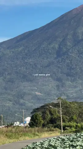 #kayuarokerinci #kerinci_jambi_indonesia #fyp 