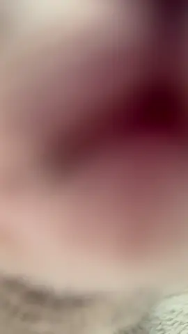 #funnycatsoftiktok😂😂😍cute #kitty #cats #kittens #fyp               