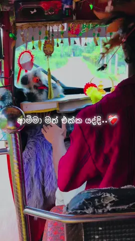 ආමිමාත් එක්ක ගමනක් යන්න ගියා තියෙන සැප ගිහින් බලපන් ආස හිතෙයි...😟