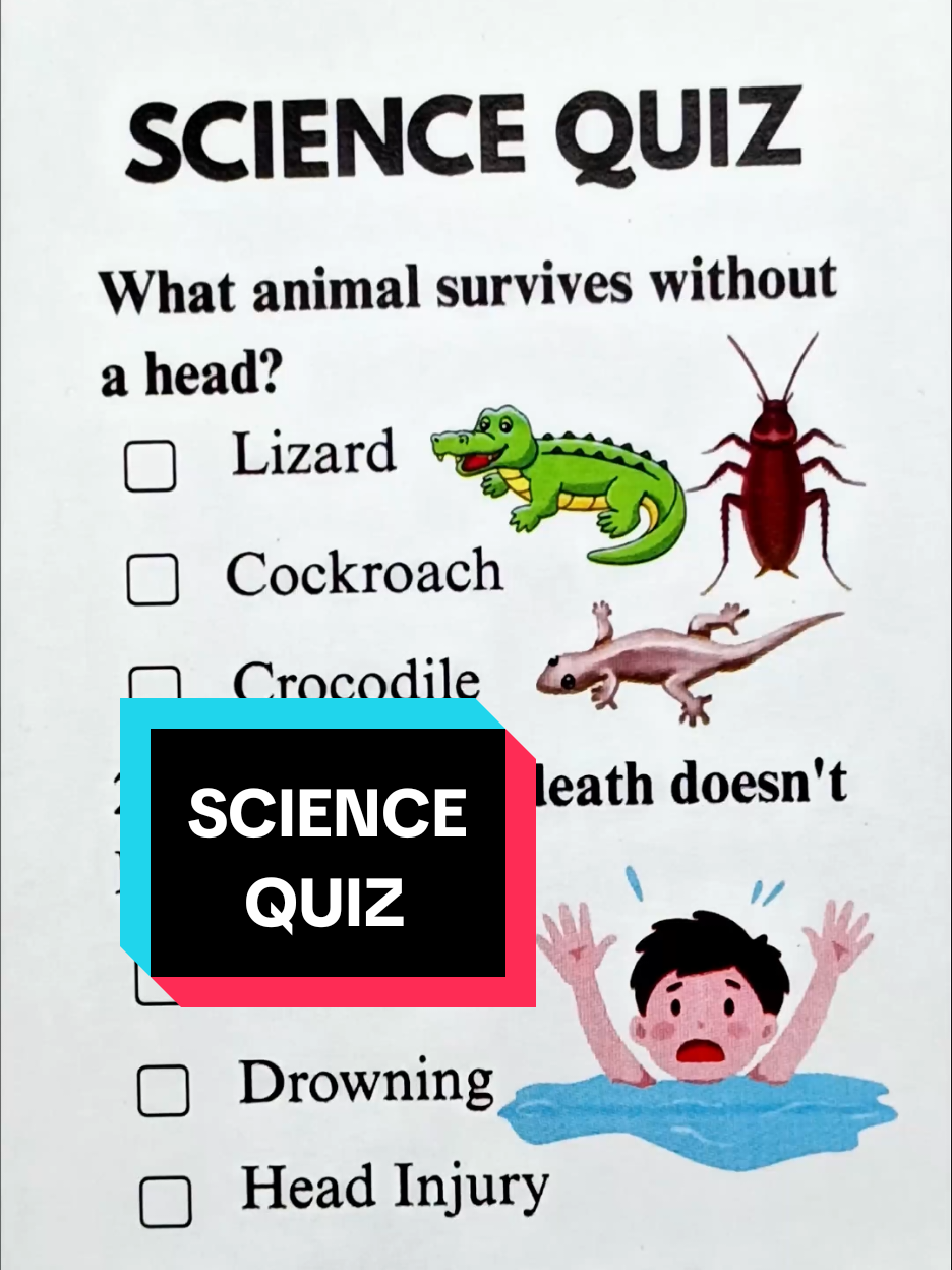 Follow me 🙋🏻........... • • • • • • • • • • • • • • • • • • • • • • • • • • • • • • #quizchallenge  #quiztime  #mreaglequiz  #learnoninstagram  #quiz 