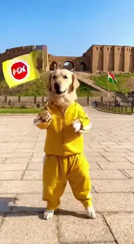 #CapCut #کوردستان_سلێمانی_کەرکوک_هەولیر #fyp #sora2 #soracode 