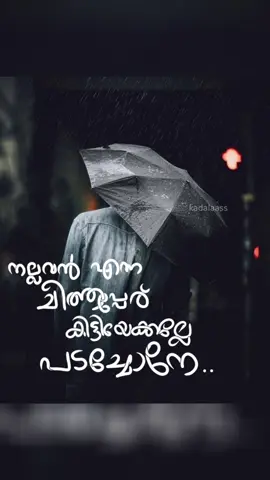 മഴ ❤️ചായ ❤️കൂട്ടിൽ പ്രിയമുള്ളാരാളും❤️#viral #viralvideo #shorts #video #viraltiktok 