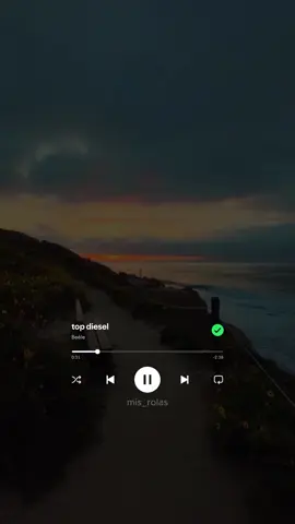No te vayas a enamorar 🎵 #topdiesel #beele 