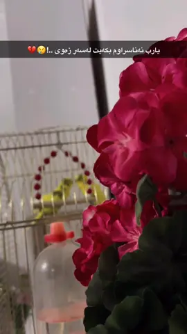 يارب نەناسراوم بکەیت لەسەر زەوی ..!😢💔#اللهم_ارزقني_توبةً_نصوحا_قبل_الممات 