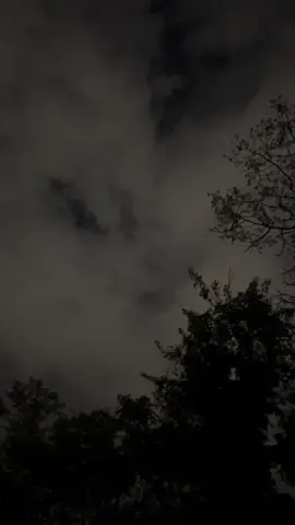 #ابها #fyp #بن_فطيس 