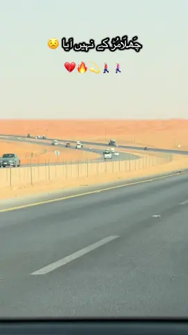 #creatorsearchinsight #unfreezemyaccount #growmyaccount #samalirpj #ksa🇸🇦 