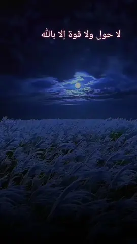 #ولقد نعلم أنك يضيق صدرك بمايقولون #فسبح بحمد ربك وكن من الساجدين واعبد ربك حتى يأتيك اليقين#لاحول ولاقوة إلا بالله العلي العظيم #foryouاكسبلورexplore #مؤثرة_جدا_مبكي 