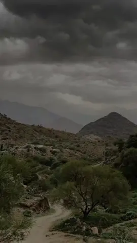 #إسلاميات #نصائح #دعاء #التقويم_اليومي 