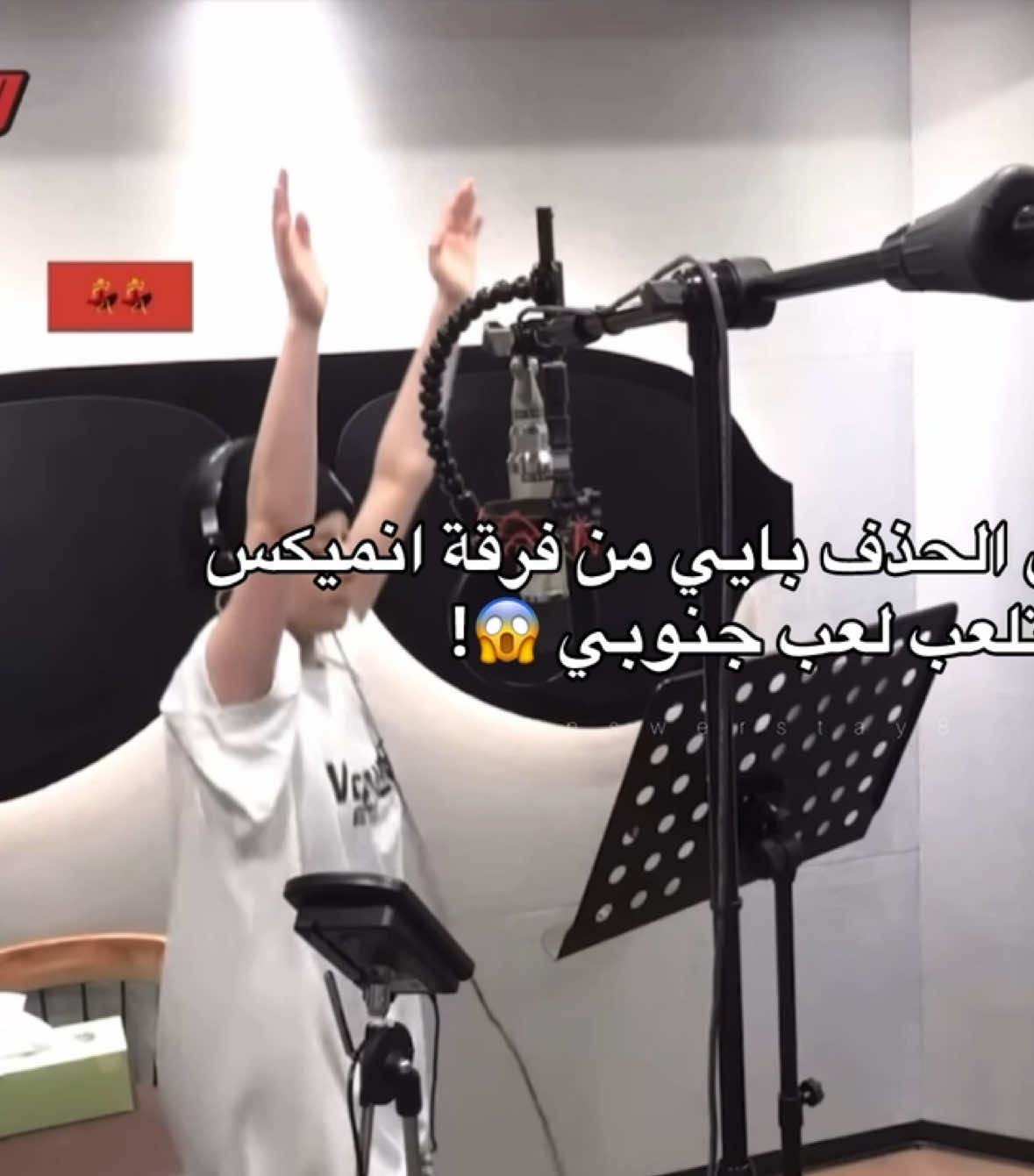 عشر ادله انميكس جنوبيات : #بايي #انميكس #nmixx #bae #fyp 