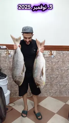 #اكسبلور #الشعب_الصيني_ماله_حل😂😂 #تيكتوك #تيبازة42 