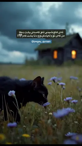 لەوانەیە کەسێک تەنها جارێک لە ژیانتا دیدارت پێی گەیشتبێ بەڵام هەموو تەمەنت نەتوانی لە بیری بکەی لەبەر شیرینی ڕوحی…🫀🫂🌱 . . . . #explorepage #foryou #reels #اسلام #تەوحید 