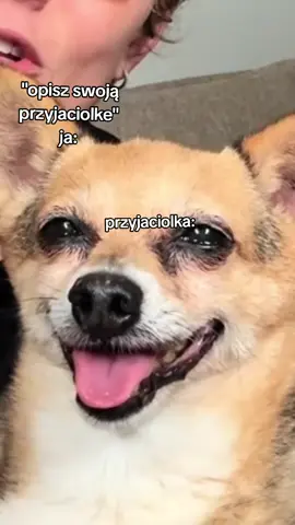 @s.dziura kocham panią a jeszcze bardziej amande cudowny filmik‼️ORYGINALNY DZWIĘK I FILMIK JEST OD S.DZIURA‼️ #meandher  #amanda #dog #funny #friends 