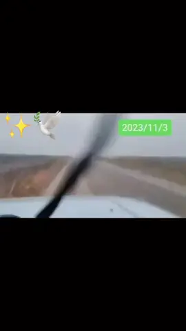 ساڵ بەساڵ خۆزگەم بەپار🕊️✨پاترۆل✨