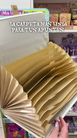 La carpeta más linda para tus apuntes #carpetas 