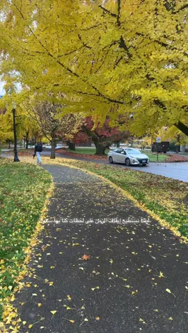 يسمعني#ماجده_الرومي #كلمات #خريف 