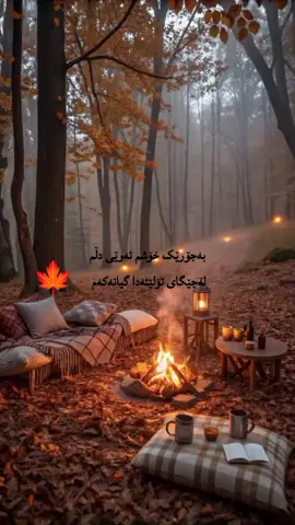 #ڕانیە_سلێمانی_کەرکوک_هەولێر_حاجیاوا #کۆیە #قەڵازێ #🍁🍁🍁🍁🍁🍁🌹🌹🌹🌹🌹 