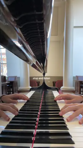 if only #chainsawman #inthesea #denji #reze #csm 