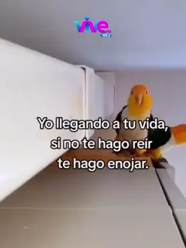 #pyfツ #ave #frases_de_todo #❤️ 