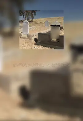 به لئ نه شئين بژين ژي پشتي (مري)🥲💔#fyp #duhok_zaxo_amedi_semel_akre #explore #foryupa #fypシ 