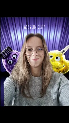 Hotel pluis of hotel Plopsaland? 👀 #vtm  #vtmthemaskedsinger #pluisjes #maskedsinger #plopsaland 