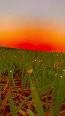 #تصويري_احترافي_الاجواء👌🏻🕊😴 #عباراتكم_الفخمه📿📌 #.                    #👥💔 #.                    🫂💔