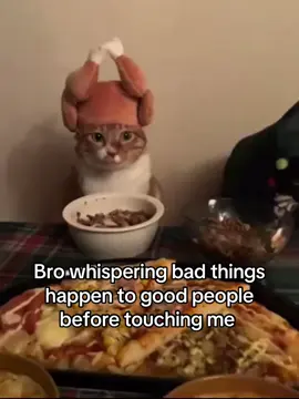 Jingling the balls #christmas #bro #winter #thanksgiving #catsoftiktok 