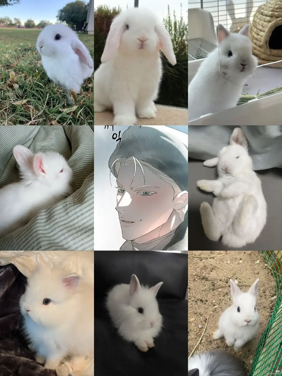 #bl #blmanhwarecommendation #codenameanastasia #кодовоеимяанастасия 