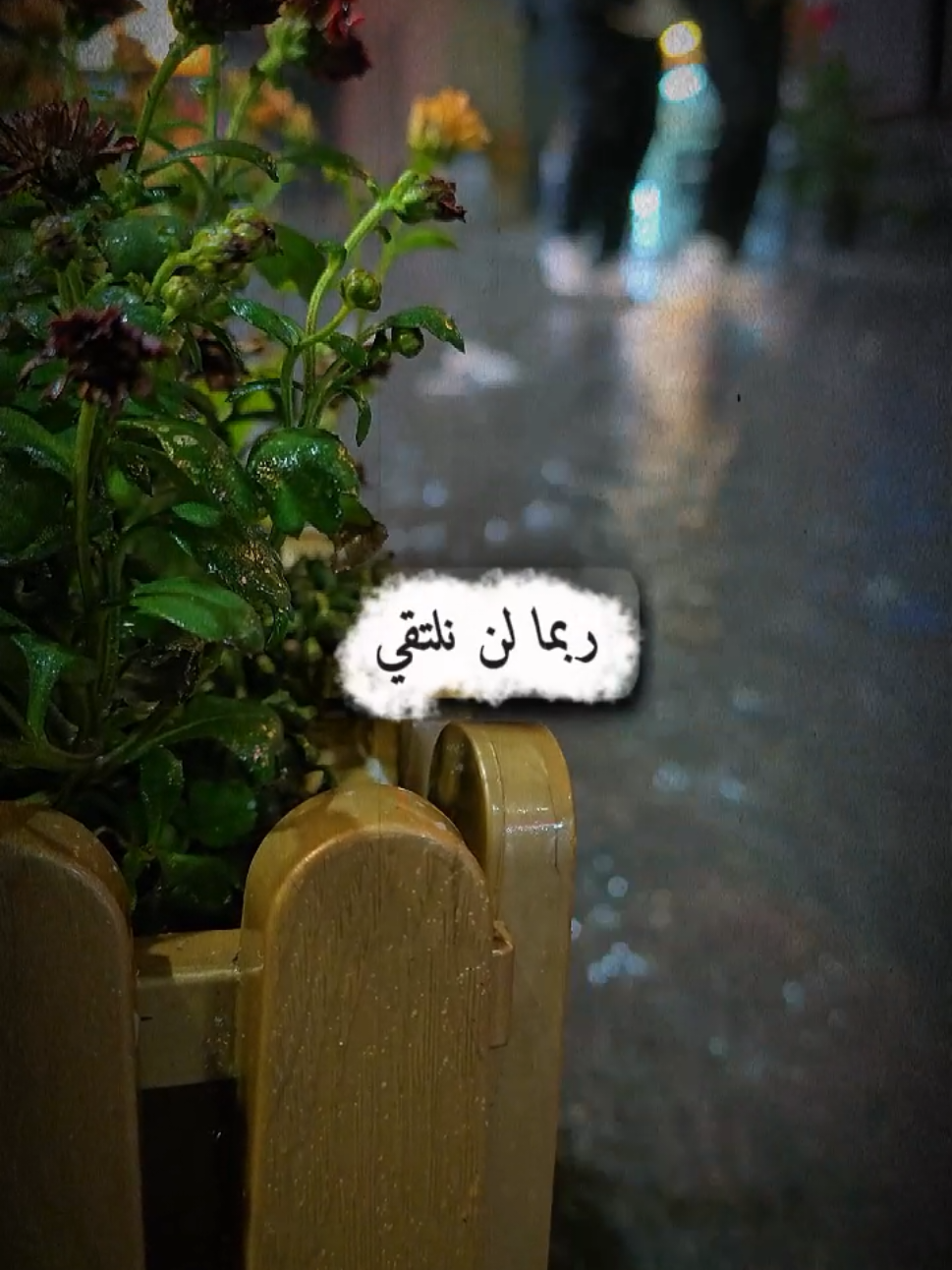 ربما لن نلتقي .. #اكسبلور  #اكسبلورexplore  #اقتباسات  #شعر  #محمود_درويش 